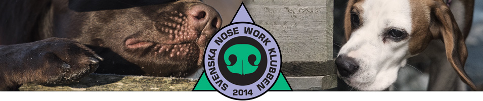 SNWK banner